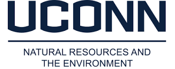 UCONN Logo 