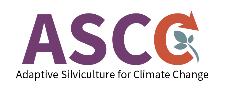 ASCC Network Logo 