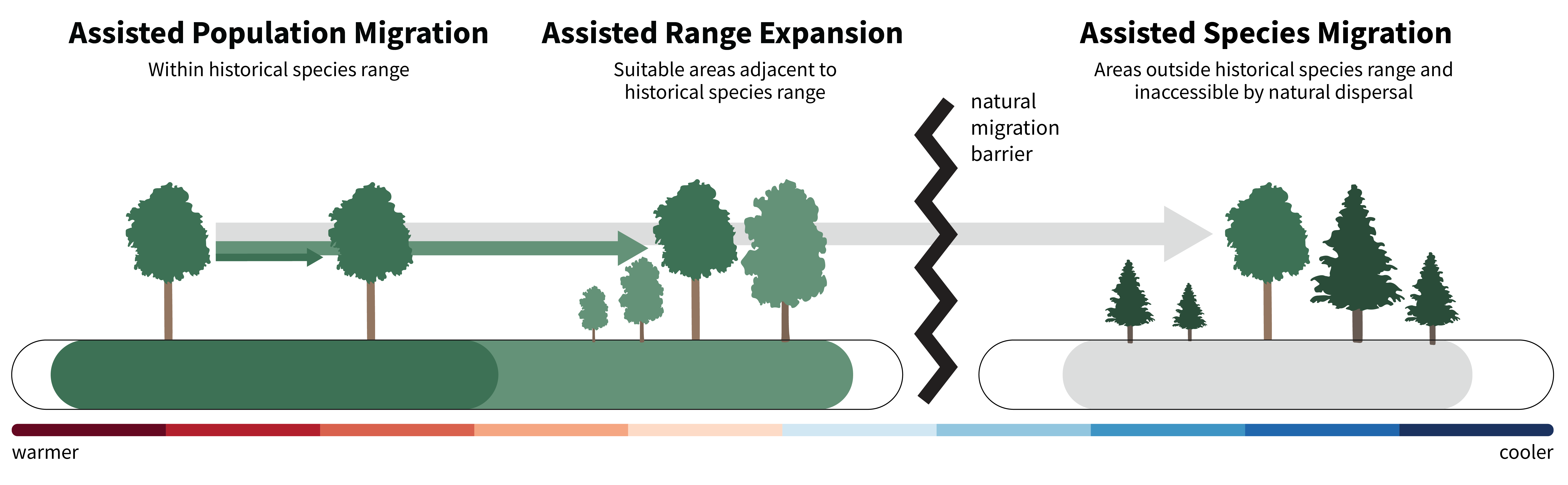 Image of a range of warmer to cooler, with assisted population migration (within historical species range) showing tree movement within a colored range, assisted range expansion (suitable areas adjacent to historical species range) showing tree movement to just outside of range, a break with a natural migration barrier, and assisted species migration (areas outside historical species range and inaccessible by natural dispersal) showing tree movement past the barrier to a range outside of the original.