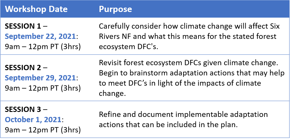 workshop agenda
