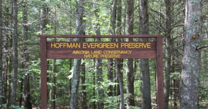 Photograph of the Hoffman Evergreen Preserve sign within forest understory