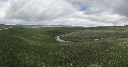 A trail running through a grassland and passing a wetland area
