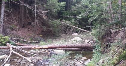 A rocky stream.