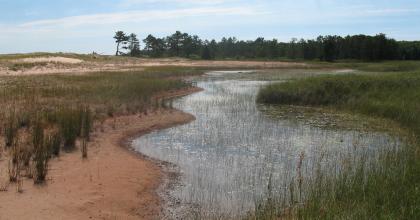 Coastal wetland at Apostle Islands Nat. Lakeshore. Image: P. Burkman