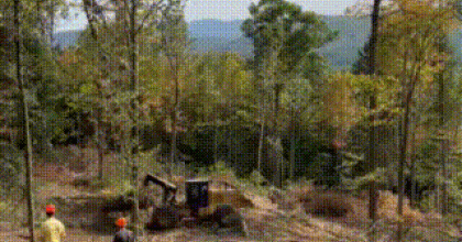 Video of the harvest operation