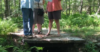 woodland owners looking at a map