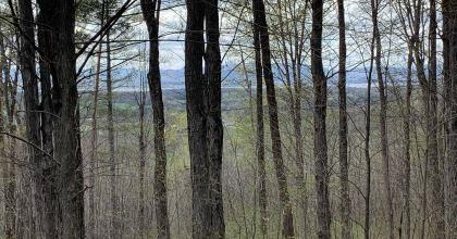 View from trail in Mt. Philo State Park