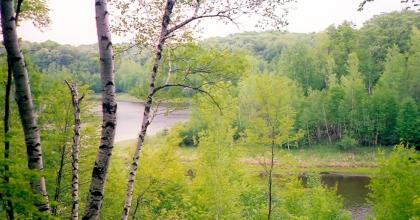 Small ponds within Sunfish Lake Park. Photo credit: Minnesota Land Trust. 
