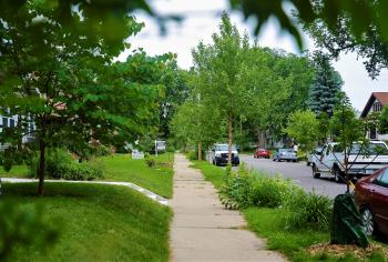 photo of tree-lined street and sidewalk