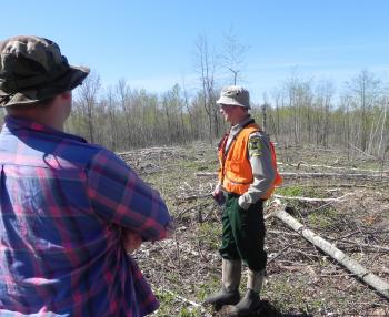 DNR forester Tony Miller and Dan Nelson inspect a recent paper birch harvest on the property.