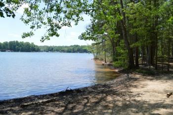 Forest near a lake on Latta NP.