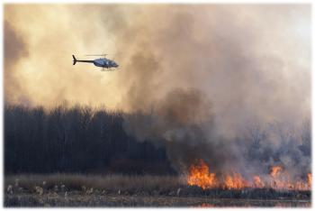 Prescribed fire may be an important management tool in uplands and lowlands across the Little Winnie project. Photo credit: Kelly Barrett. 