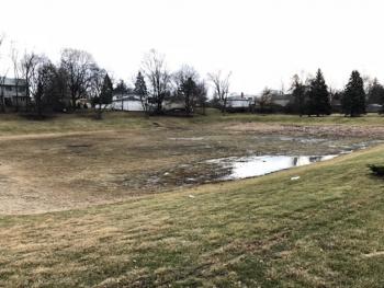 turfgrass-dominated detention basin that will be naturalized.