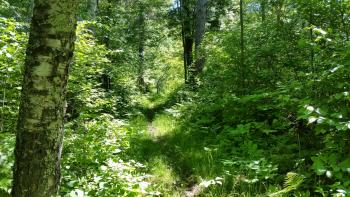 Suomi Hills Hiking Trail, which runs through the Laurentian project area. 
