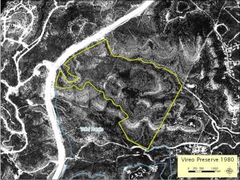 Aerial photo of Vireo Preserve 