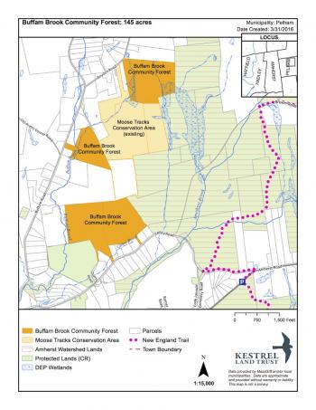 Buffam-Brook-Forest-Map.jpg