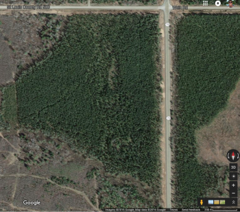 An aerial photo of the property. 