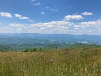 This photo was taken near the project's eastern border at the top of Ramshorn Ridge, looking west. The project's western boundary, Back Allegheny Mountain, is in the distance. The Green Bank Observatory is in the valley between the two. 