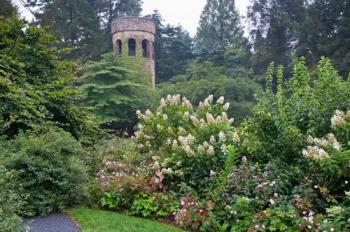 View of diverse vegetation at Longwood Gardens