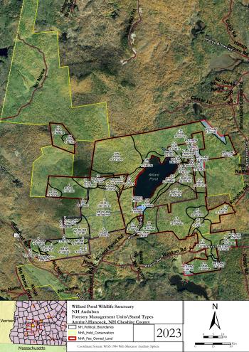 Map of Willard Pond forest management units