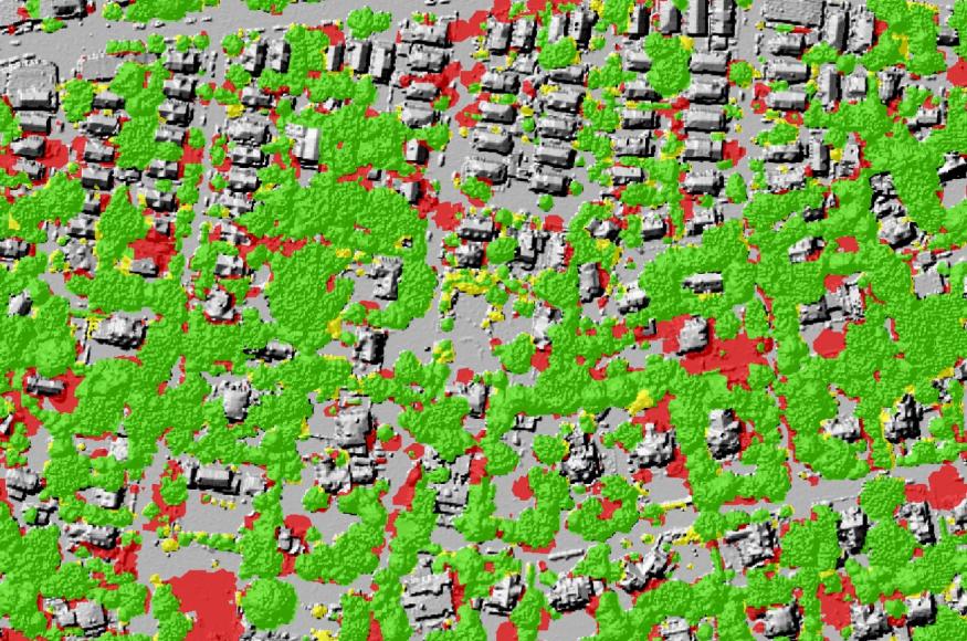 aerial view showing tree canopy locations