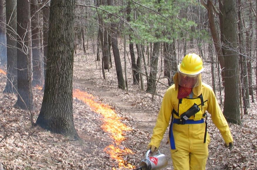 barry fire