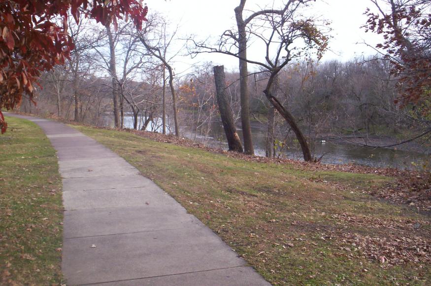 site where European buckthorn was removed