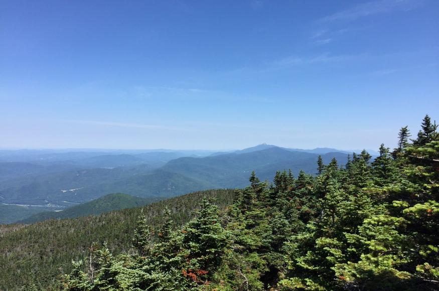 A photograph of Camel's Hump State Park from above the treeline