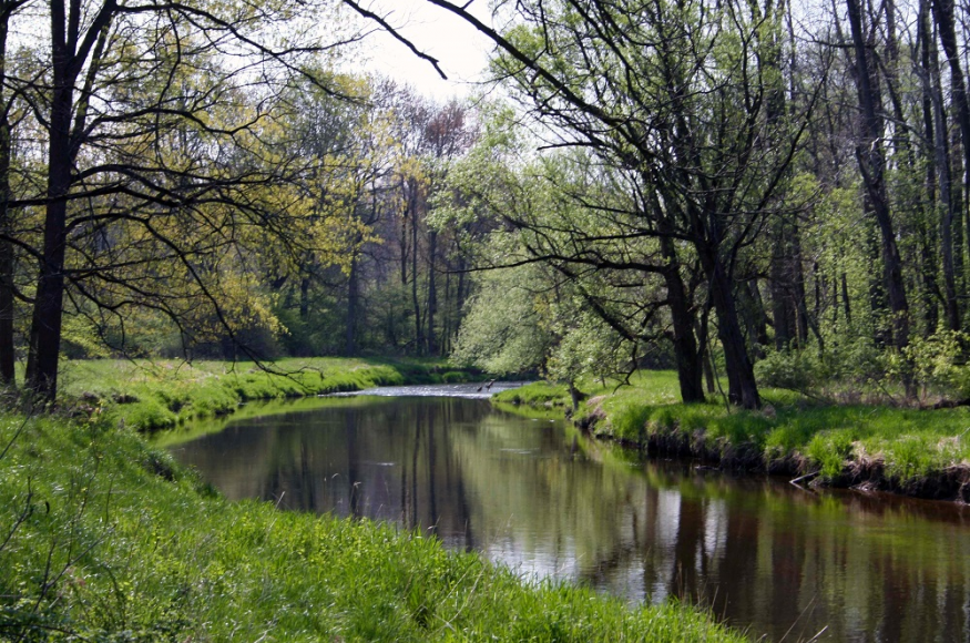 Columbus county park waterway in summer