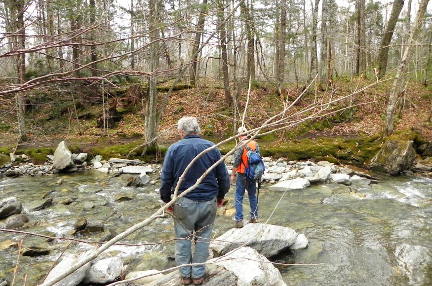 Two natural resource professionals standing on rocks near a forest stream.