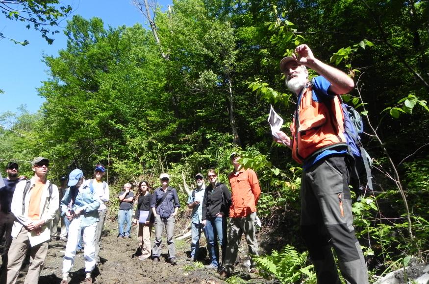 a group of people standing in the forest