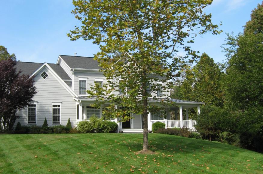 Residential site with tree