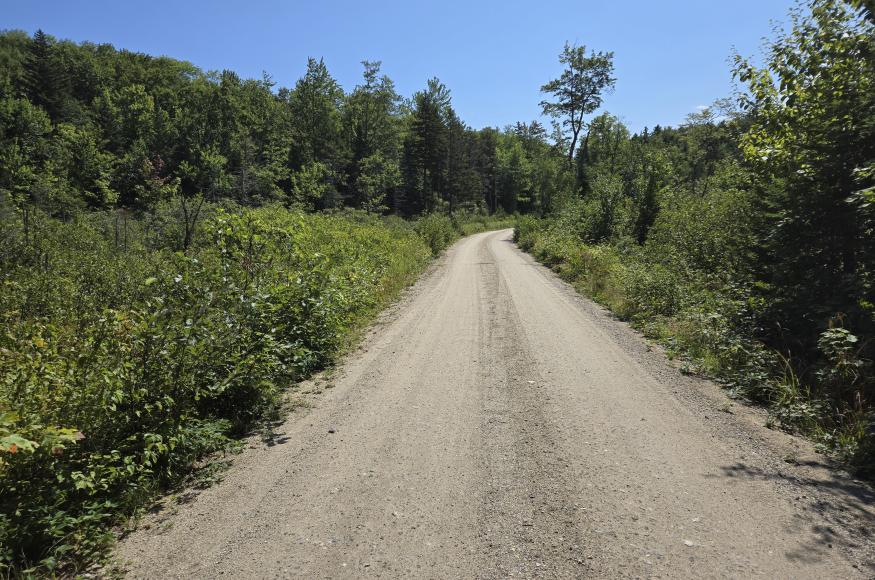 Gravel forest road