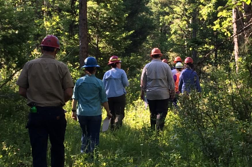 Research partners from several institutions are working together to investigate the effectiveness of different silvicultural treatments aimed at creating adaptive ecosystems. Photo Credit: Molly Roske, MN Department of Natural Resources. 