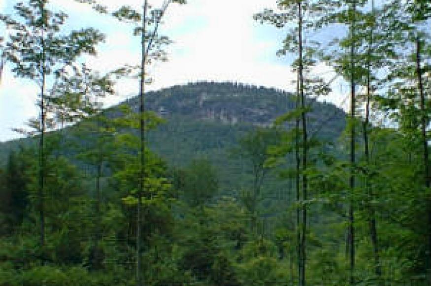 Photograph of Owl's Head mountain within Groton State Forest