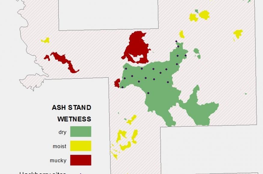 Map of soil moisture and sites where hackberry seedlings were planted in 2019. 