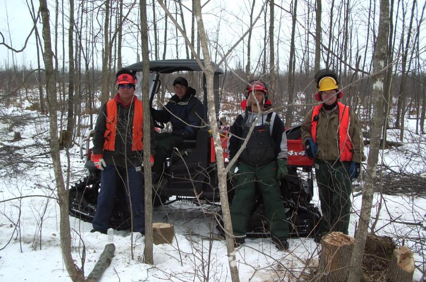 crew of workers cutting ash trees in winter