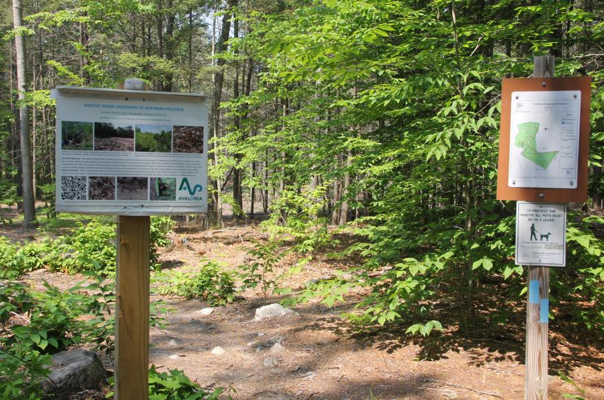 Trail head within the Preserve featuring a map and educational signage