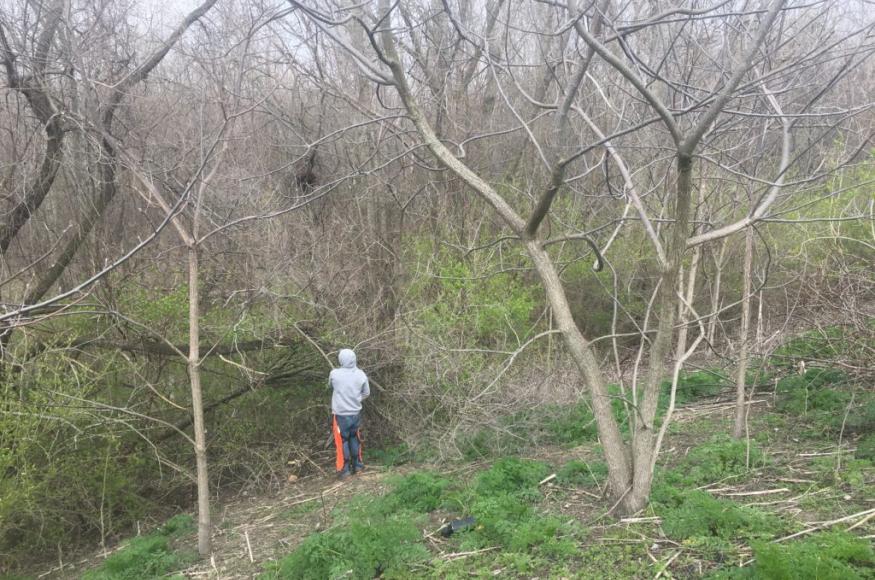 volunteer working