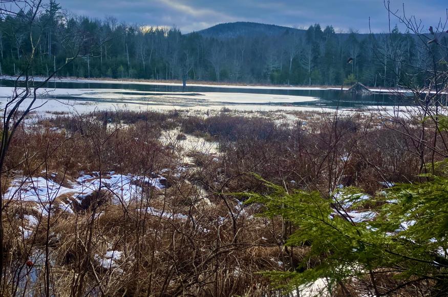 View of hills overlooking Willard Pond