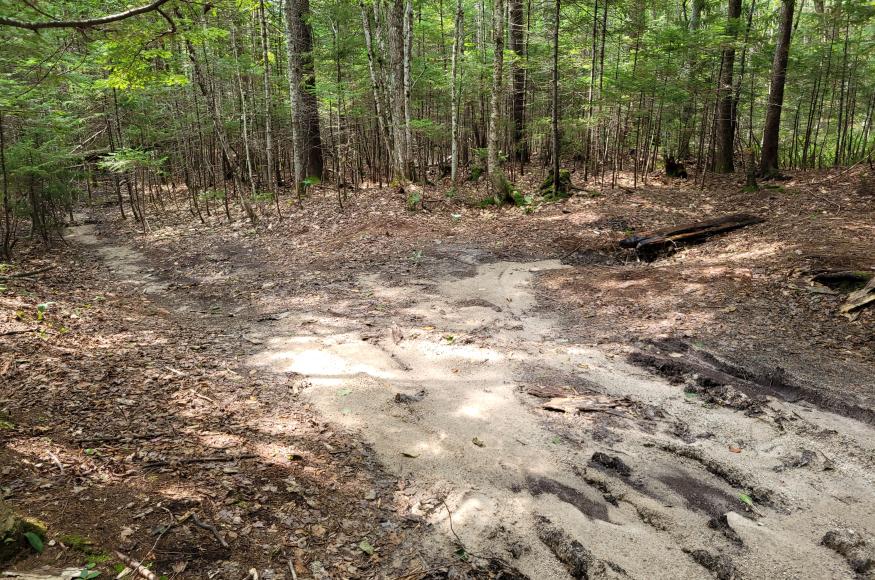 A campsite with silt and mud