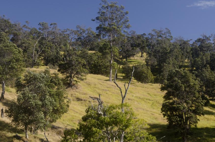 Open Pasture, Credit: Mark Wasser, NPS