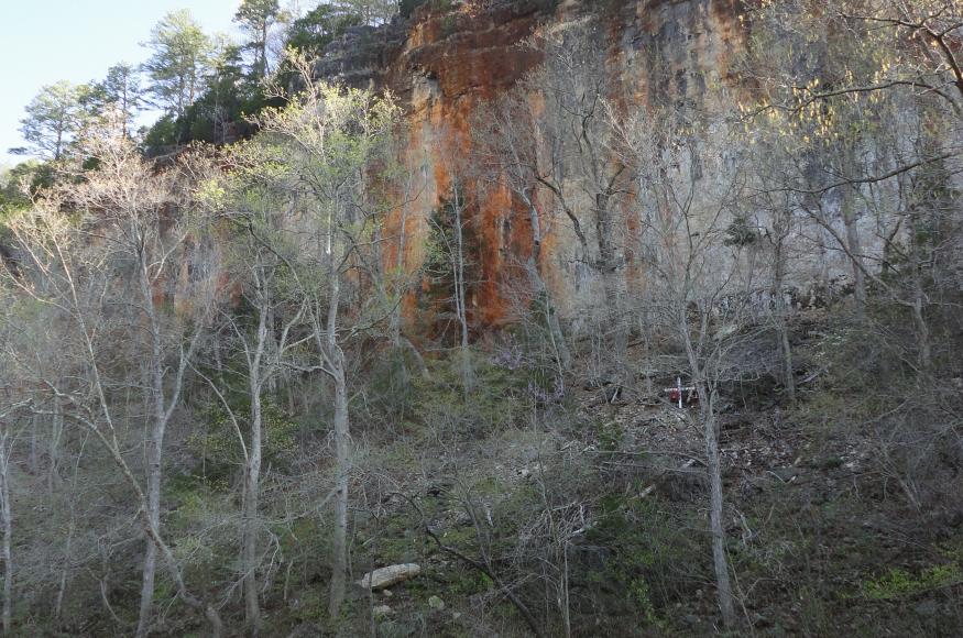 Red Bluffs with spring foliage Image: US Forest Service 