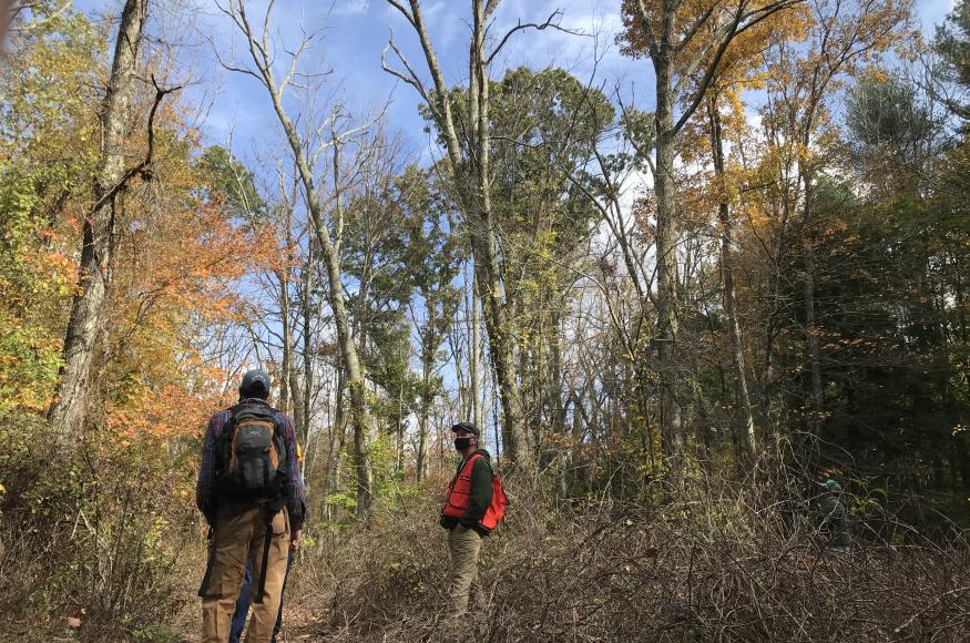 Mohegan State Forest site tour. Photo Credit: Amanda Bunce, University of Connecticut 