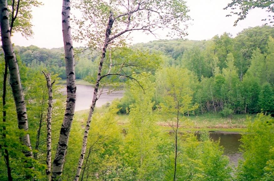 Small ponds within Sunfish Lake Park. Photo credit: Minnesota Land Trust. 