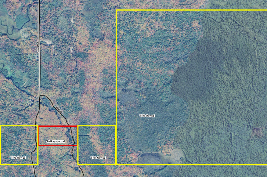 Matt Watkey's property (red outline) connects large parcels of forest land owned by Hancock Natural Resources Group (formerly owned by The Forestland Group, yellow outline). 