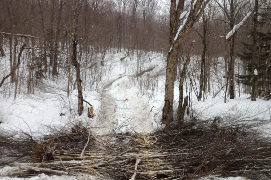 A pile of sticks in a stream in winter, used to drive large equiptment over