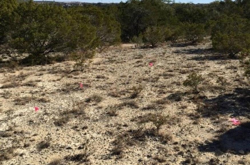 degraded landscape 