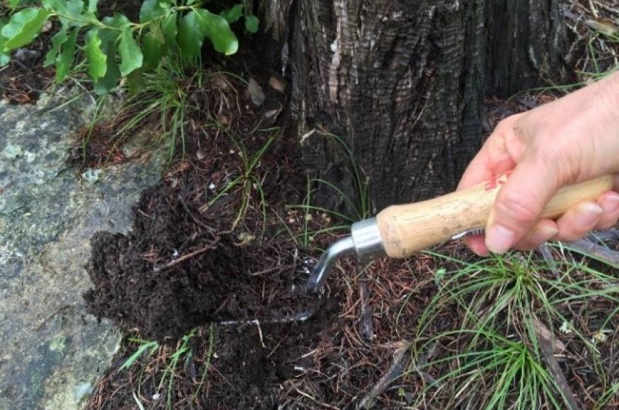 Hand holding spade full of rich soil