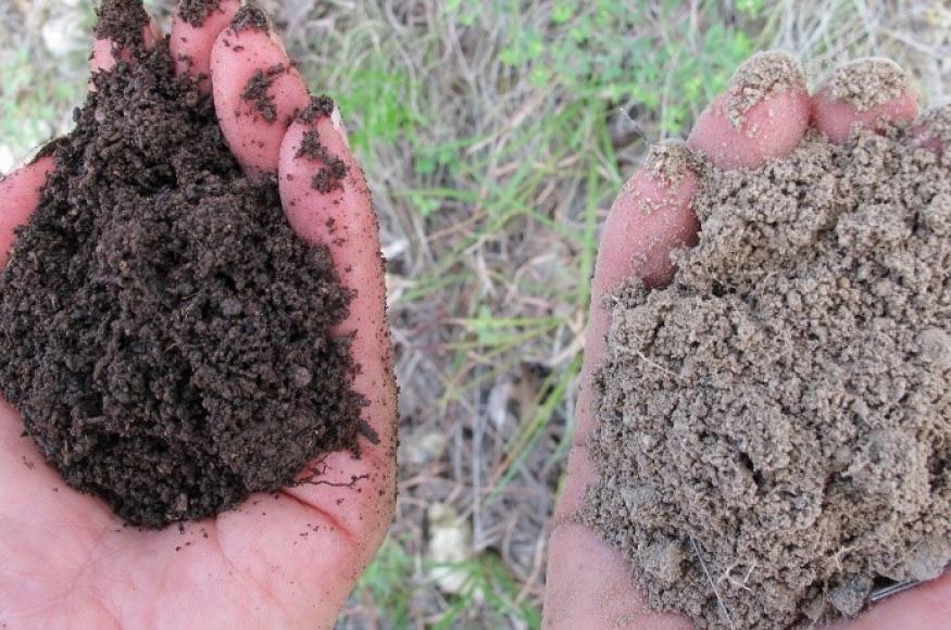 Photo of hand holding dark soil on left and light soil on right. 